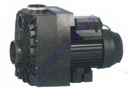 Speck 43 Series 2.5 HP Tough Pump.