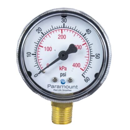 Paramount Hayward Pressure Gauge Infloor Valve