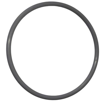 Poolrite S-6000 MK1 & S-5000S Valve Seat Gasket O-Ring