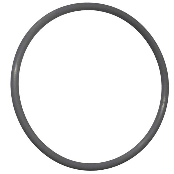 Poolrite S-6000 MK1 & S-5000S Valve Seat Gasket O-Ring