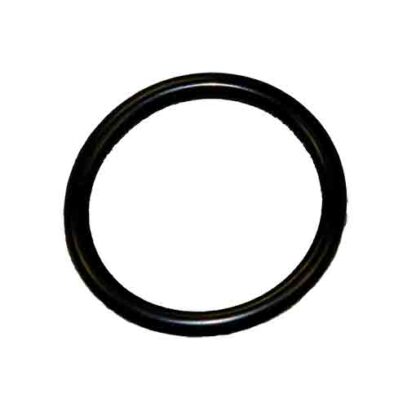 Valve O Ring