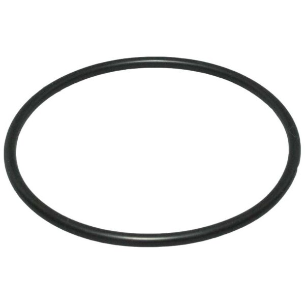 speck magic pool pump lid O ring