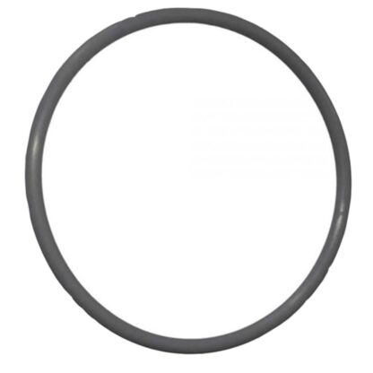 Davey SureFlo Pool Pump Lid O-Ring