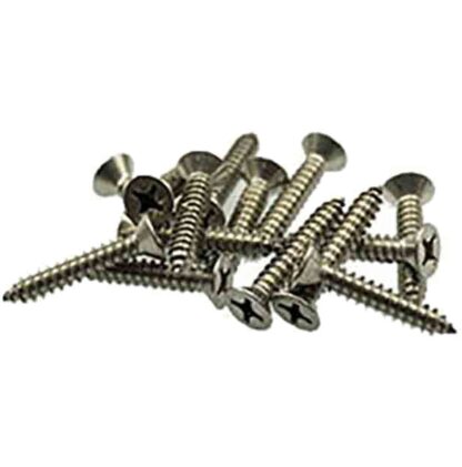 Blue Haven Pools Skimmer Box Stainless Screws 14