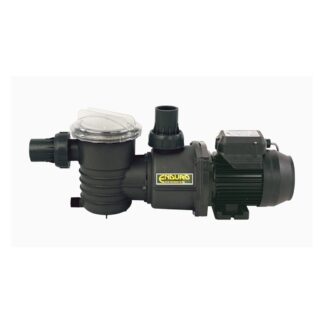 Poolrite Enduro EP Pool or Solar Pump