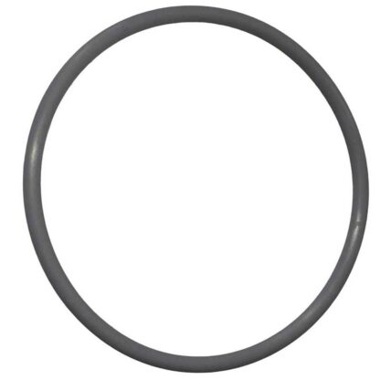 Davey Crystal Clear Filter 40mm Valve Union O-Ring