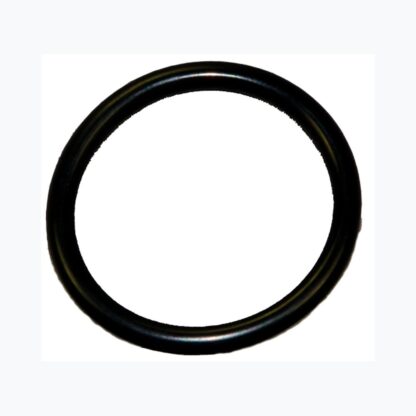 Zodiac Tri  PH & ORP Probe Sensor O-Ring